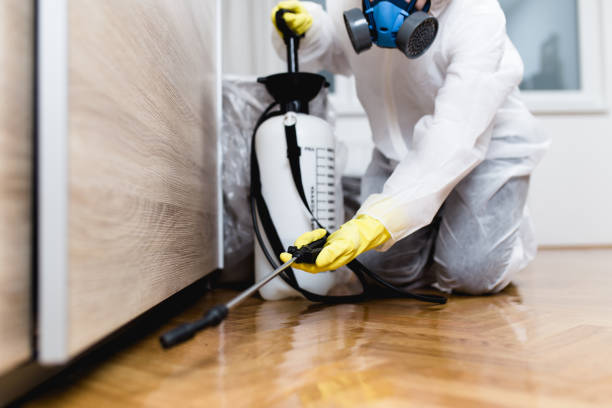 Best Pest Control for Businesses  in Orem, UT